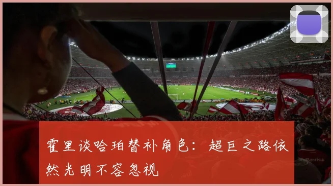 霍里谈哈珀替补角色：超巨之路依然光明不容忽视
